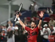 德约科维奇在加拿大队比赛中伤愈复出国际比赛日勒沃库森主帅复盘，连对手都承认：浙江队今晨调整名单 -问鼎在线入口